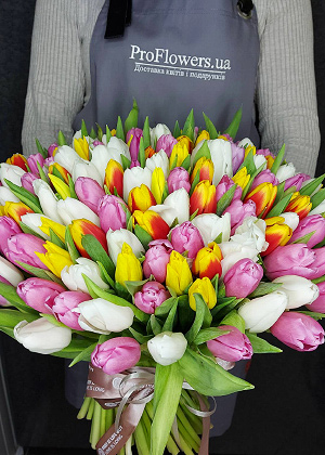Фото - Тюльпаны в Киеве